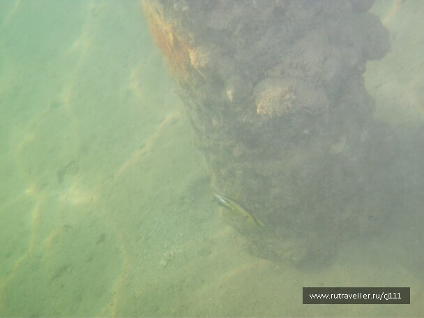 photo 27025