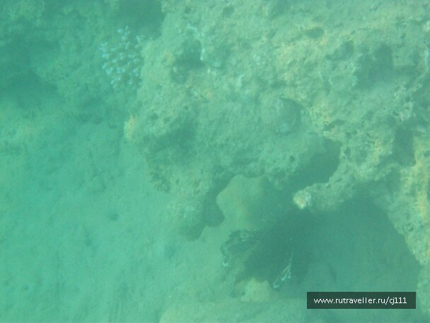 photo 27027