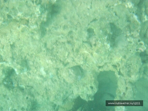 photo 27028