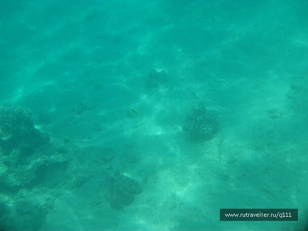 photo 27035