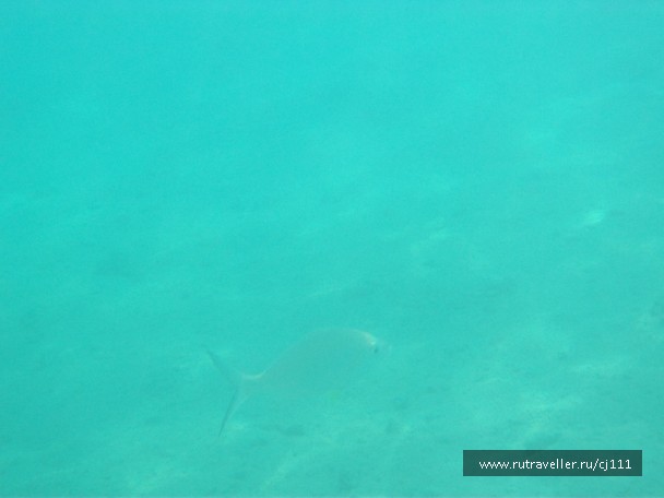 photo 27043