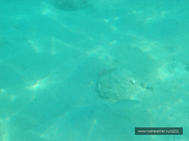 photo 27044