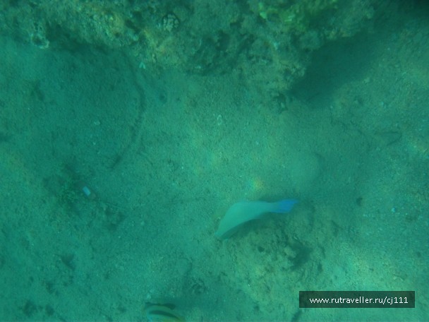 photo 27047
