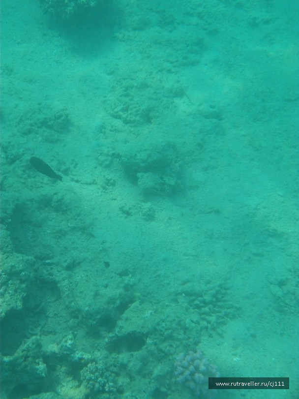 photo 27049
