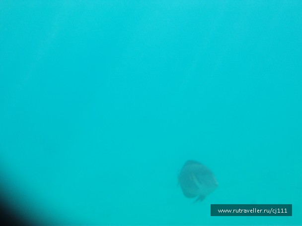 photo 27052