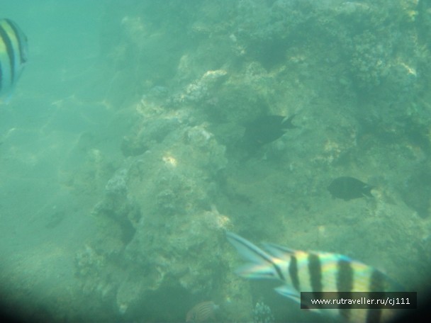 photo 27059
