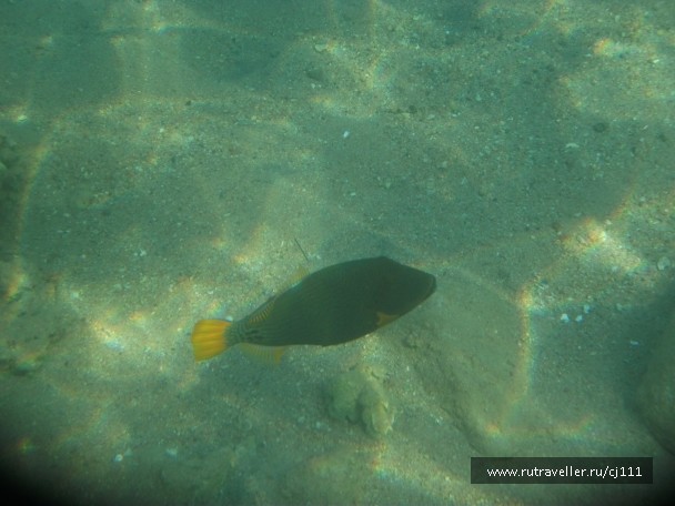 photo 27061