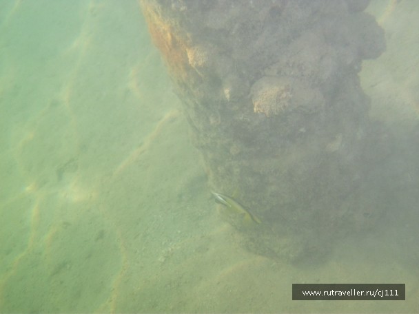 photo 27066