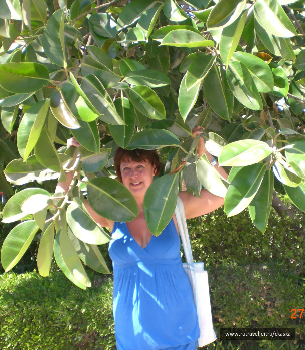 photo 212611