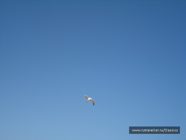 photo 868476