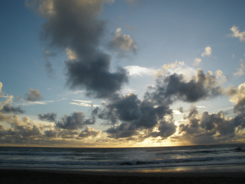 photo 341562