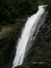 photo 342430
