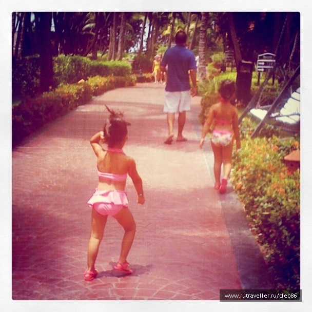 photo 267441