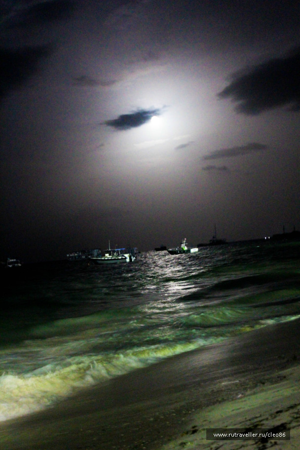photo 263985