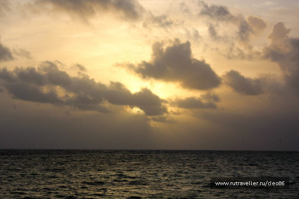 photo 263989