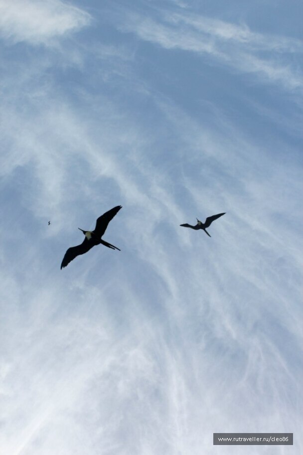 photo 264058