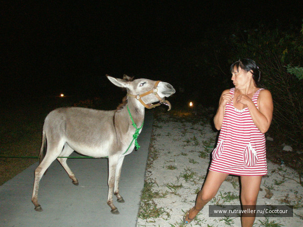 photo 1001511
