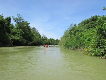photo 783513