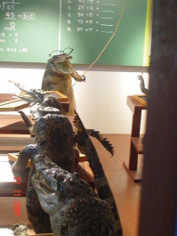 photo 382805