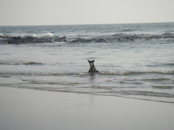 photo 322644