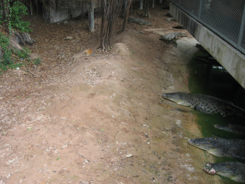photo 378787