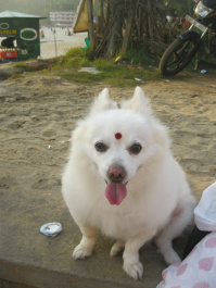 photo 542994