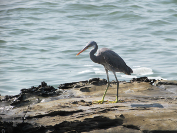 photo 686721