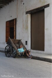 photo 246348