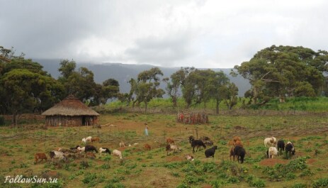 photo 246311