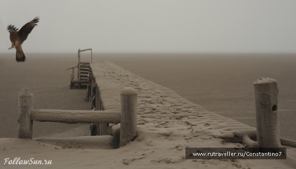 photo 246302