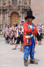 photo 246295