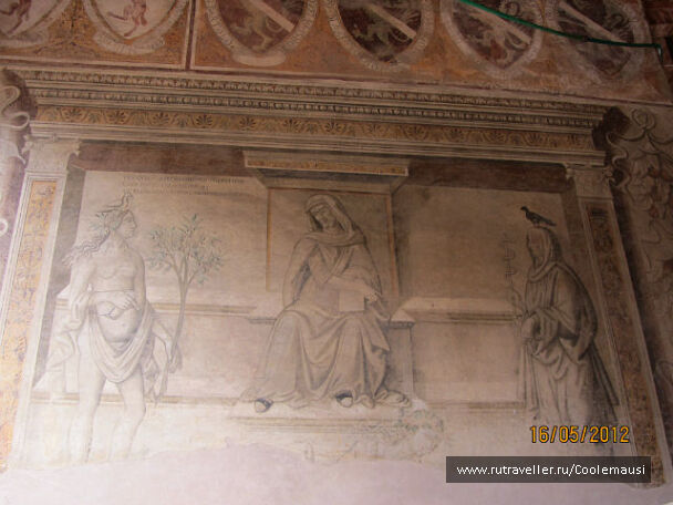 photo 231762
