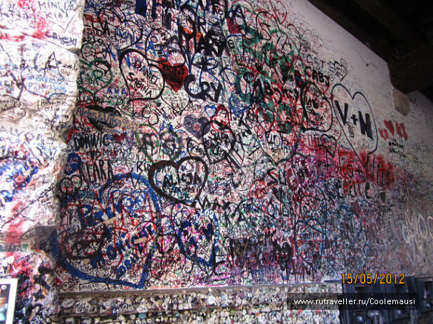photo 231768