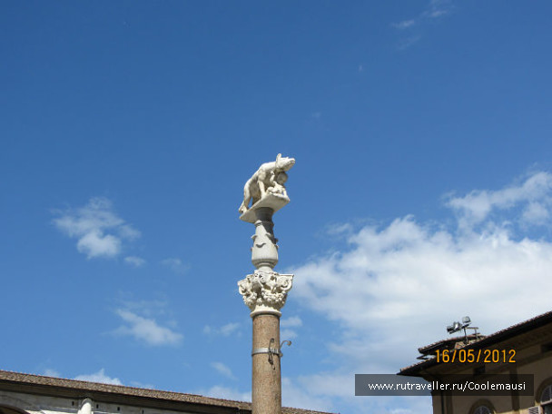 photo 231821
