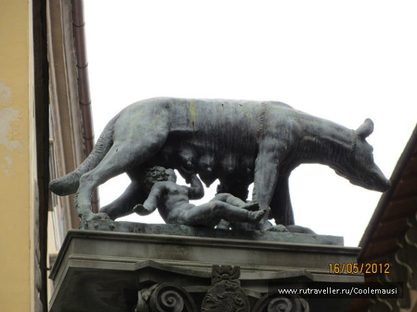 photo 231822