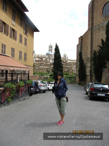 photo 231823