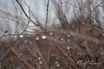 photo 267851