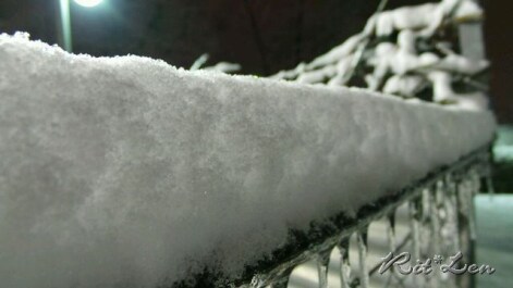 photo 267862