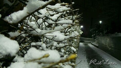 photo 267863