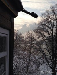 photo 267866