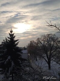 photo 267867