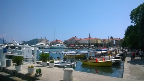 photo 1356354