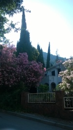photo 1356362
