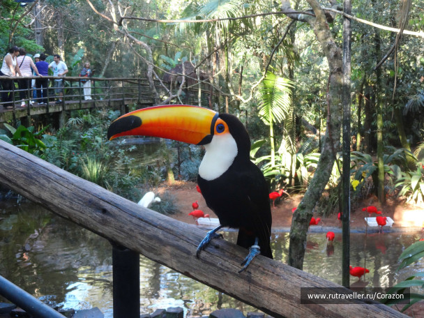 photo 232180