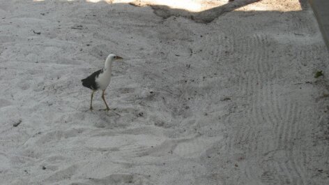 photo 75361