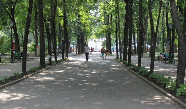 В парке Стефана Великого
