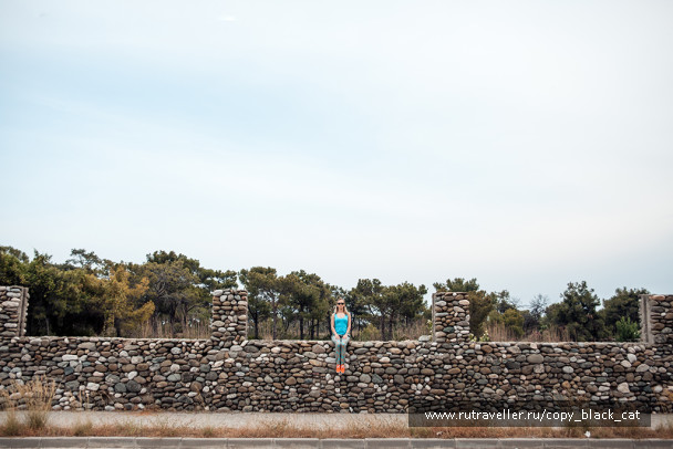 photo 368689