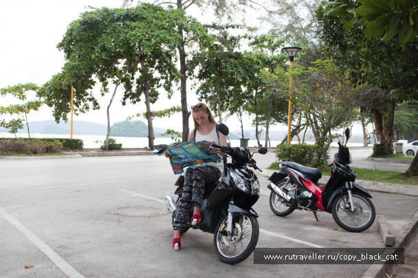 photo 1167114