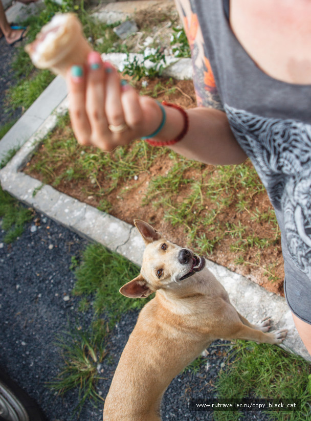 photo 1167116