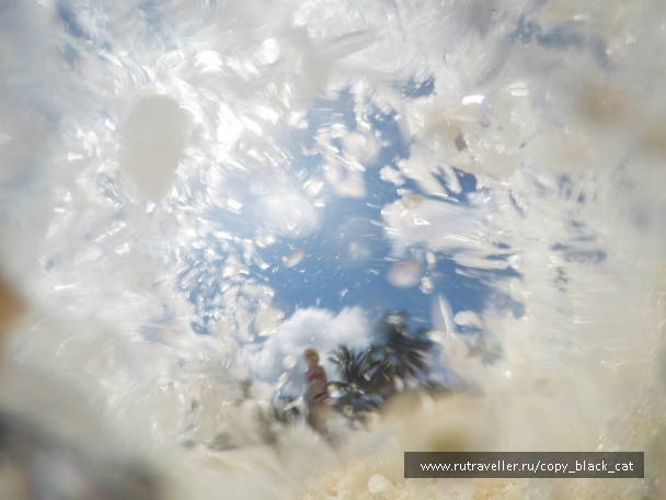photo 1167144